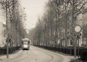 A tram making its way around Antwerp, Belgium