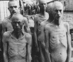 auschwitz-prisoners