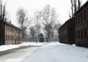 auschwitz3