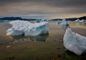 Narsaq icebergs