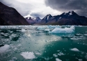 Qooroq ice field