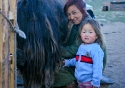 Mongolian nomads tending to their herd