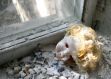 Chernobyl, site of the world’s worst nuclear disaster